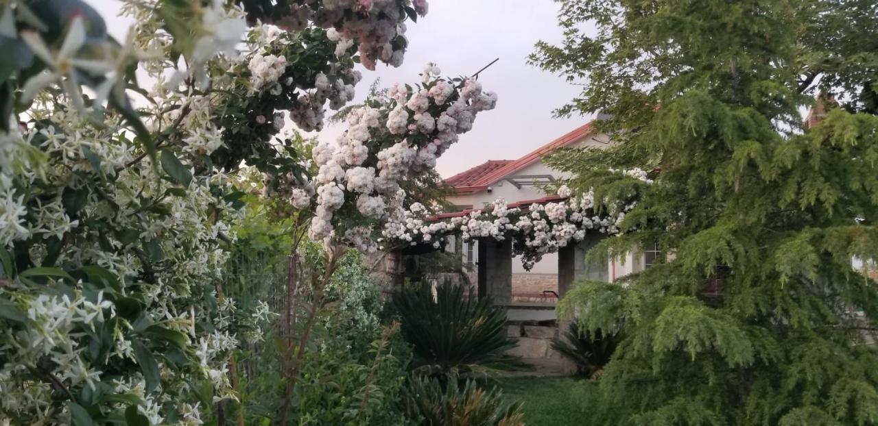 Country House Bubullime Albania Lushnjë Buitenkant foto
