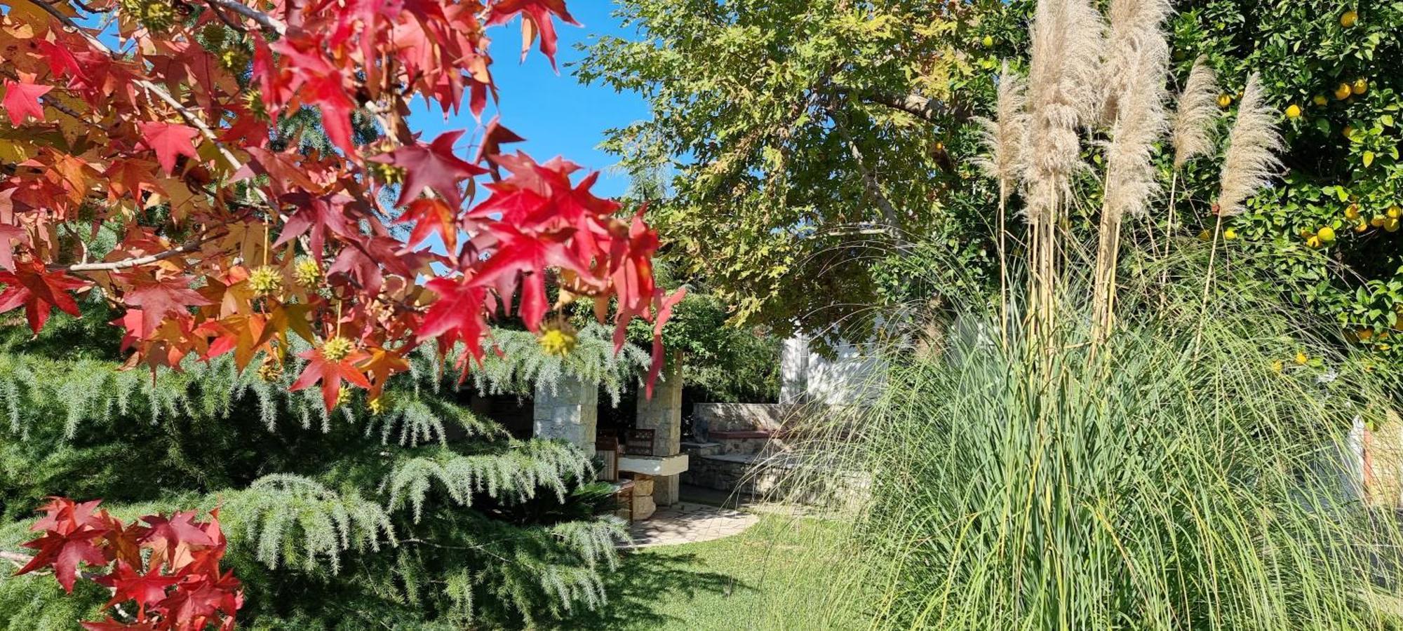 Country House Bubullime Albania Lushnjë Buitenkant foto
